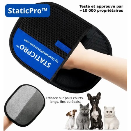 Gant ramasse poil StaticPro noir sur main humaine caressant un chaton avec retrait efficace des poils morts.