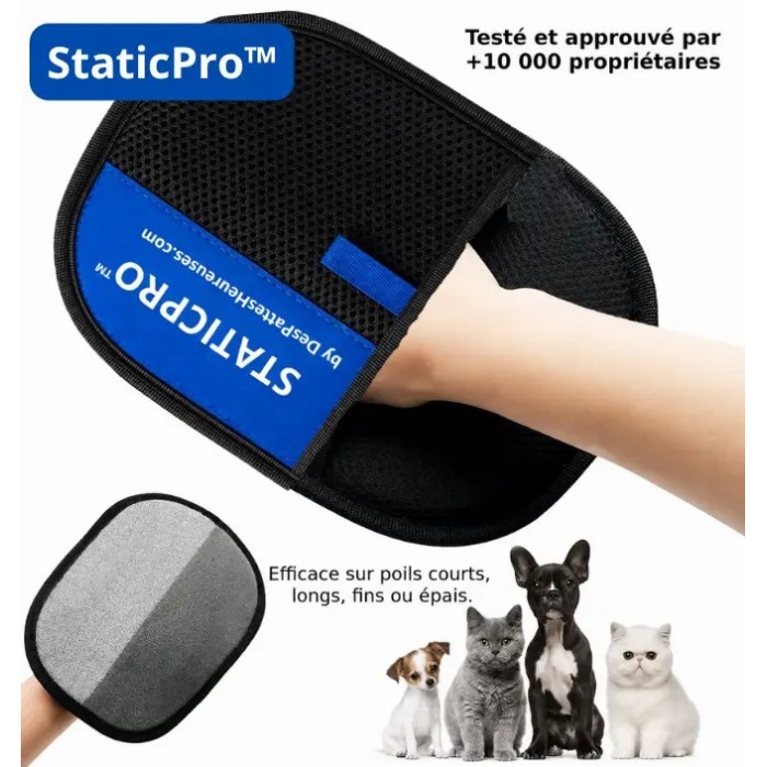 Gant ramasse poil StaticPro noir sur main humaine caressant un chaton avec retrait efficace des poils morts.