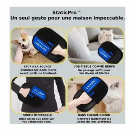 Utilisation du gant éléctrostatic StaticPro sur chien, canapé, vêtements noirs et arbre à chat pour un nettoyage total.