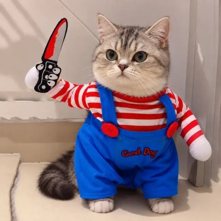déguisement Halloween chat poupée possédée avec couteau en mousse