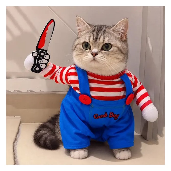 déguisement Halloween chat poupée possédée avec couteau en mousse