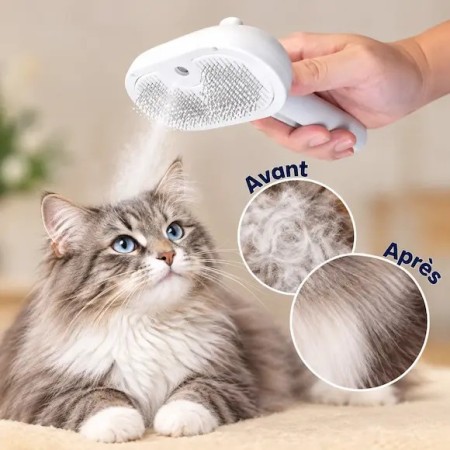 brosse pour chat avec eau vaporisée