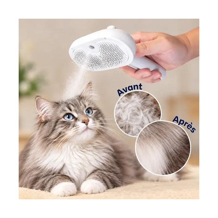 brosse pour chat avec eau vaporisée