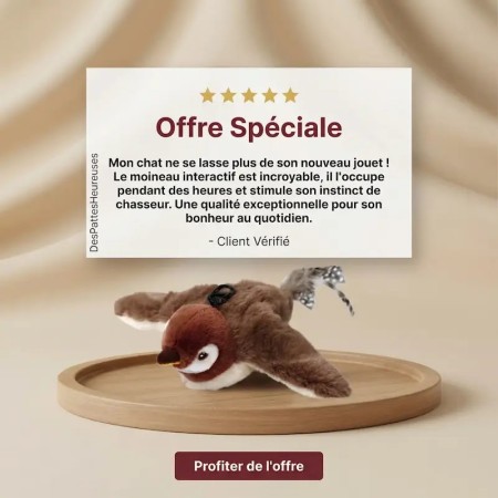 Oiseau interactif intelligent pour chat - Cadeau idéal anti-ennui