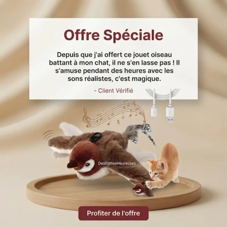 Jouet pour chat stimulant instinct de chasse - Peluche oiseau interactive