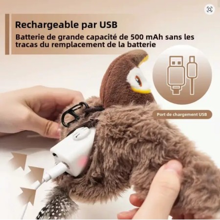 Détail batterie rechargeable USB pour jouet chat - Économique et durable
