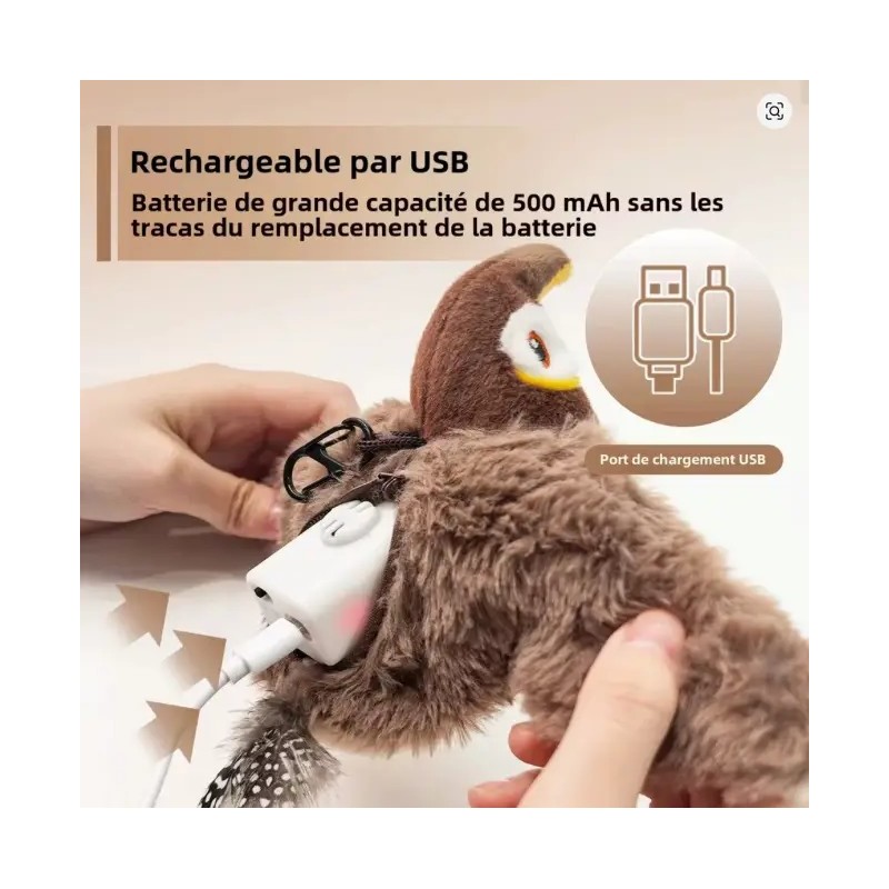 Détail batterie rechargeable USB pour jouet chat - Économique et durable