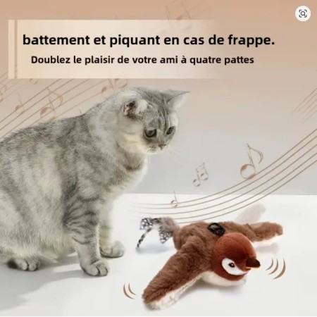 Chat jouant avec son oiseau interactif - Accessoire de jeu autonome