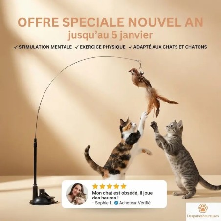 Jouet canne à pêche pour chat avec ventouse puissante - Offre Spéciale Nouvel An