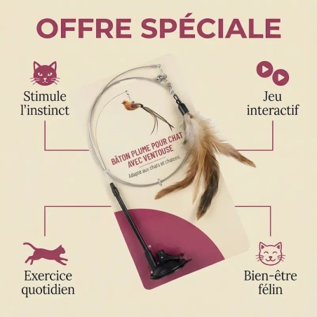 Détails du jouet oiseau pour chat : plumes naturelles, clochette et ventouse robuste