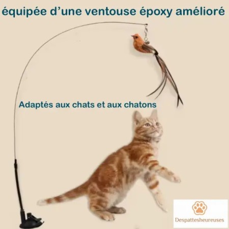 Jouet autonome pour chat avec ventouse époxy améliorée - Adapté à toutes surfaces