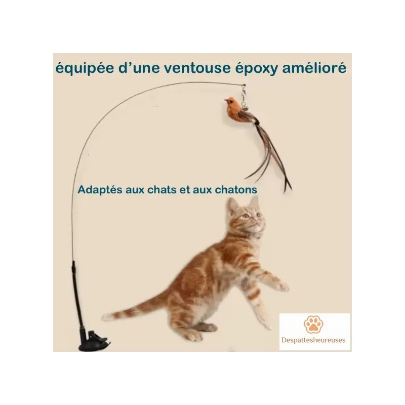 Jouet autonome pour chat avec ventouse époxy améliorée - Adapté à toutes surfaces