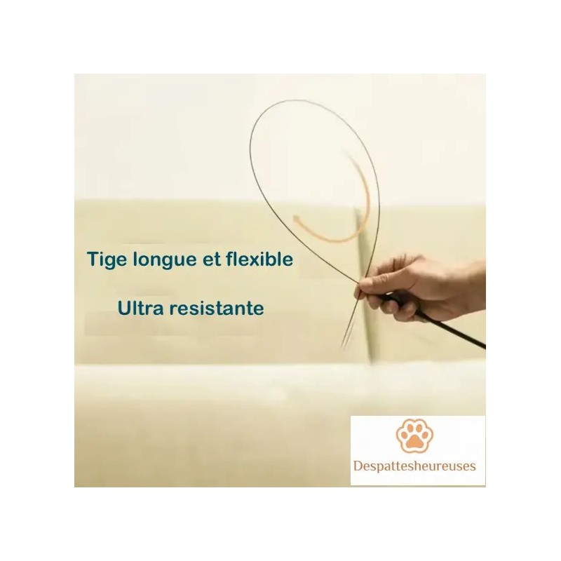 Canne à pêche pour chat avec tige longue et flexible ultra-résistante - Jeu interactif