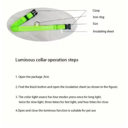 Accessoires de sécurité LED pour animaux - Couleurs fluos et lumineuses