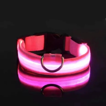Petit collier LED rose pour chat et chien - Visibilité longue distance