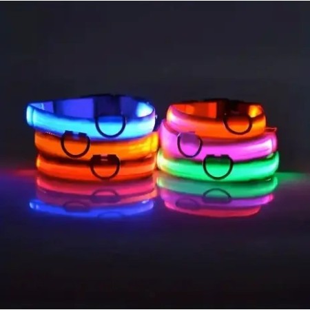 Collier LED pour chien et chat haute visibilité - Différents coloris disponibles