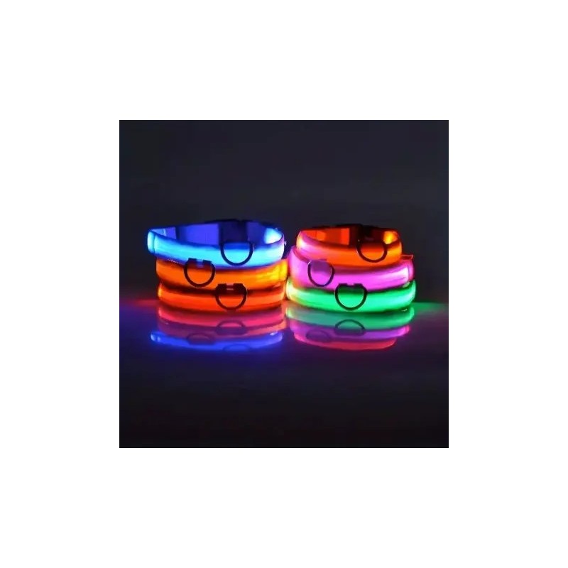 Collier LED pour chien et chat haute visibilité - Différents coloris disponibles