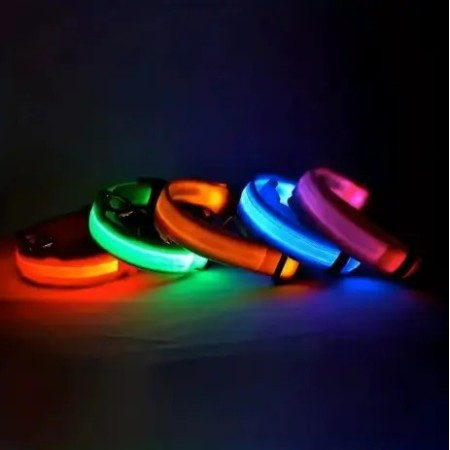 Gamme de colliers lumineux à LED - Rechargeables et faciles à utiliser