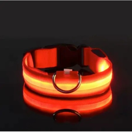 Collier lumineux rouge à LED - Idéal pour localiser votre chien dans le noir