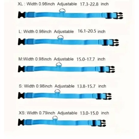 Guide des tailles pour collier lumineux LED - Du S au XL pour toutes races