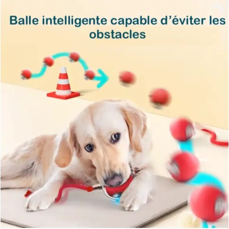 Balle intelligente pour chien et chat avec évitement d'obstacles - Jeu interactif