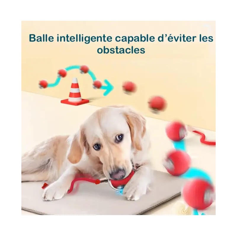 Balle intelligente pour chien et chat avec évitement d'obstacles - Jeu interactif