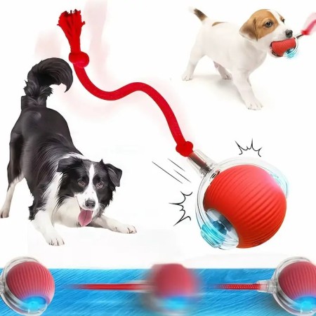 Balle rebondissante résistante pour petit chien et chat - Rechargeable USB-C