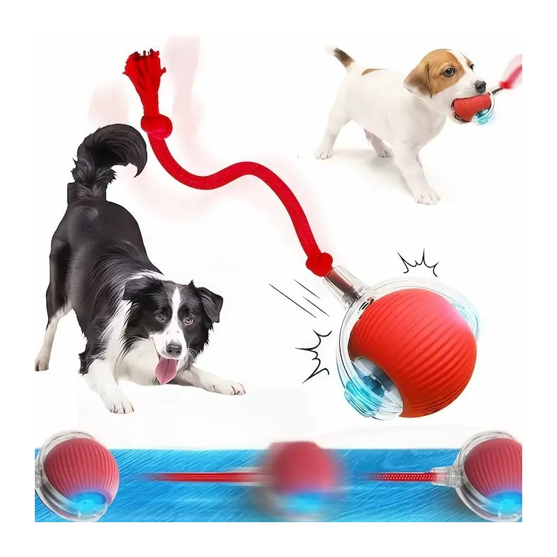 Balle rebondissante résistante pour petit chien et chat - Rechargeable USB-C