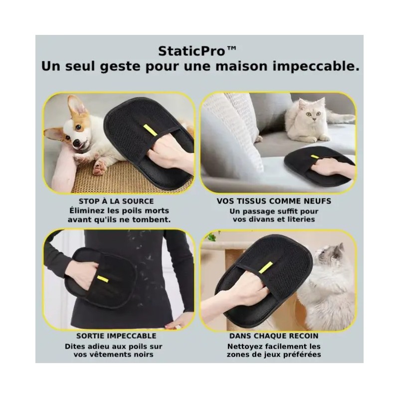 Utilisation du gant StaticPro sur chien, canapé, vêtements noirs et arbre à chat pour un nettoyage total.