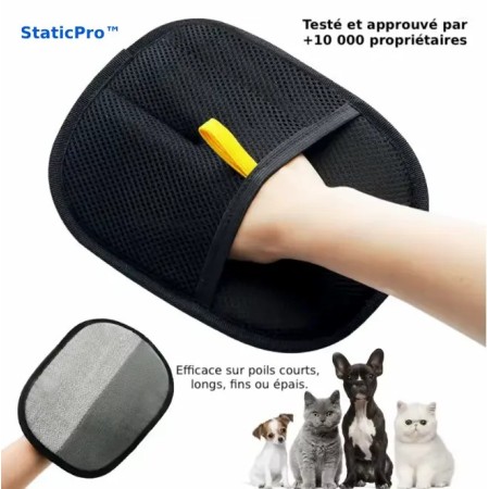 Gant StaticPro noir sur main humaine caressant un chaton avec retrait efficace des poils morts.