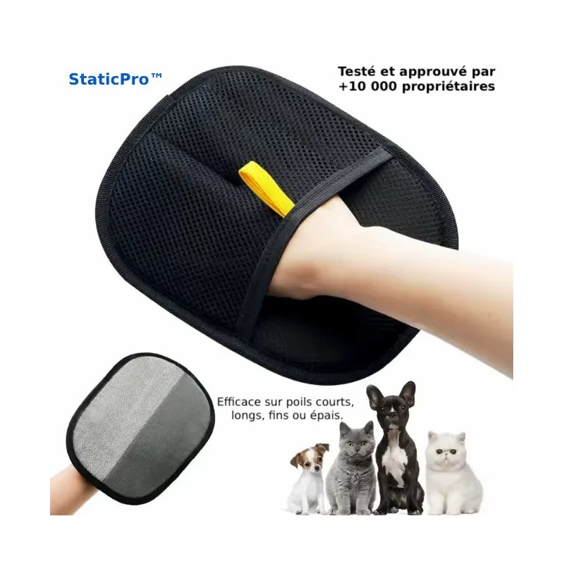 Gant StaticPro noir sur main humaine caressant un chaton avec retrait efficace des poils morts.