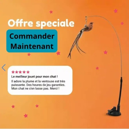 Meilleur jouet pour chat d'appartement