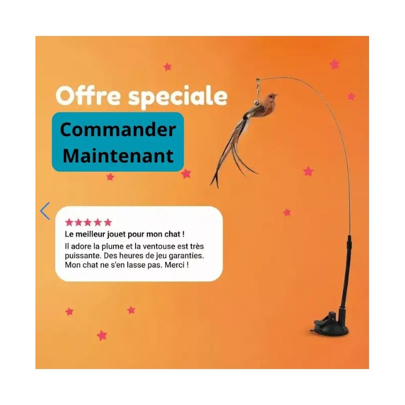 Meilleur jouet pour chat d'appartement