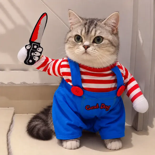 chat déguisé pour Halloween en costume de poupée possédée