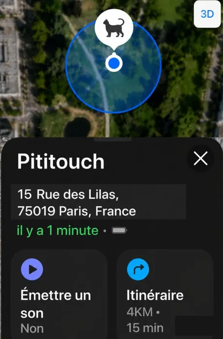 Position GPS du chat affichée sur la carte de l'iPhone via le réseau Find My d'Apple